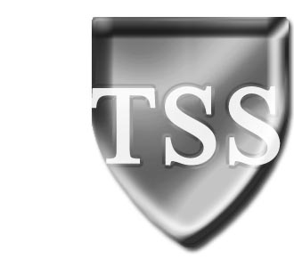 TSS-Safes Logo